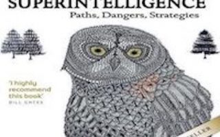 Superintelligence Paths Dangers Strategies read