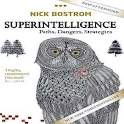 Superintelligence Paths Dangers Strategies read
